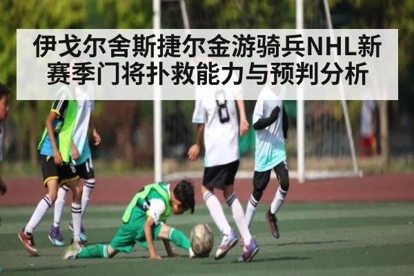 伊戈尔舍斯捷尔金游骑兵NHL新赛季门将扑救能力与预判分析